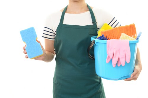 Steam carpet cleaning equipment in a Docklands home