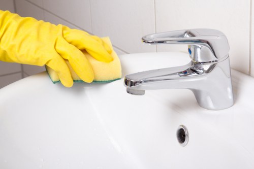 Accessibility support request for a Docklands carpet cleaners website