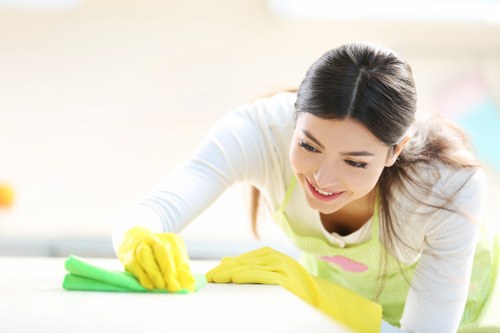 Specialist cleaning of modern sofa upholstery in Docklands