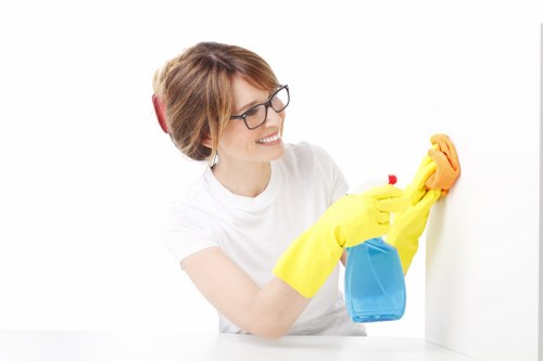 Specialist mattress cleaning equipment in Docklands