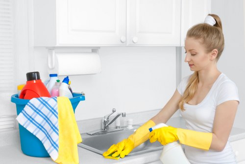 Professional pet odour treatment for carpet and rugs